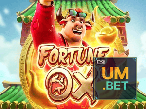 UM BET login — painel de entrada no app oficial